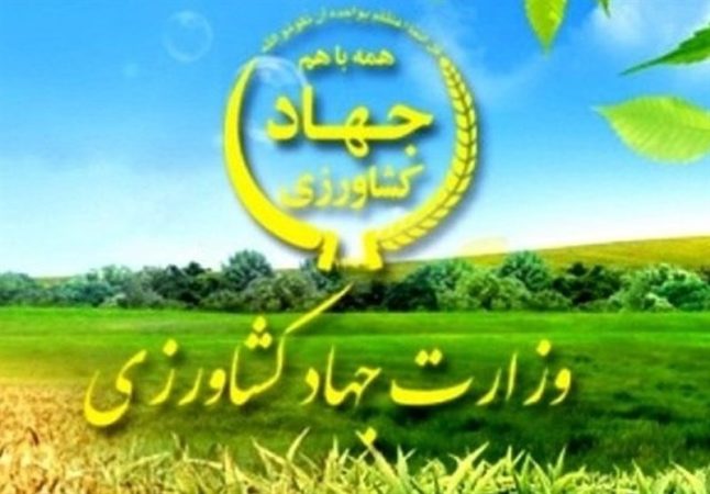 خرید تضمینی محصولات کشاورزی ۱۲۹ درصد افزایش یافت