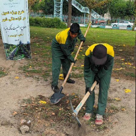 آراستگی بیش از ۱۵ هزار متر مربع باغچه و کاشت ۷۹۵ درخت و درختچه در منطقه ۱۹